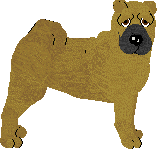 Shar Pei - Abnormality V2