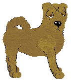 Shar Pei - Abnormality V1