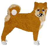 Shiba Inu - Abnormality