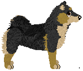 Shiba Inu - VPZ (Updated))