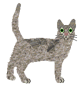 Singapura - Supernova