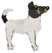 Smooth Collie - Faerie Barn Dance