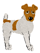 Smooth Fox Terrier - Abnormality