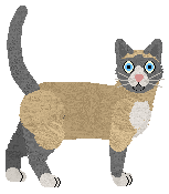 Snowshoe - Grand Theft