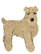 Soft Coated Wheaten Terrier - AR/Cierra V1