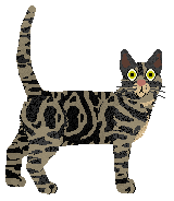 Sokoke - Supernova V1