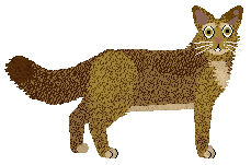 Somali - Supernova V2