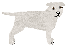 Staffordshire Bull Terrier - Supernova V2