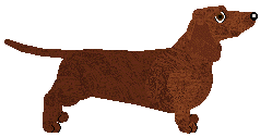 Standard Dachshund - Abnormality (Smooth) V2