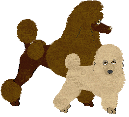 Standard Poodle - Abnormality V2
