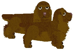 Sussex Spaniel - Paranoia V2