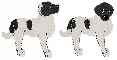 Transmontano Mastiff - Celia @ Filthy Hippie