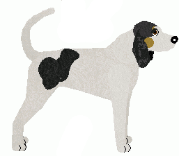 Treeing Walker Coonhound - Bramblewood