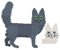 Turkish Angora - VPZ