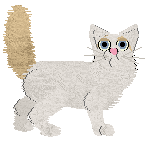 Turkish Van - Paranoia V1