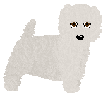West Highland White Terrier - Fango