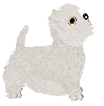 West Highland White Terrier - Paranoia V2