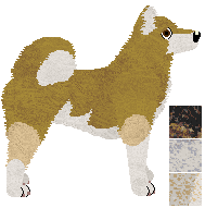 West Siberian Laika - VPZ