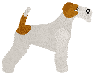 Wire Fox Terrier - Abnormality V3