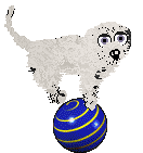 King's Odd One Out — “Oddball”