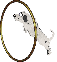 King's Odd One Out — “Oddball”