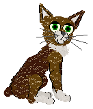 Profile image of Mockingbird's Vah Medoh