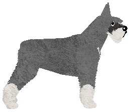 Bearded Force Obrończyni Domu — “Frania”