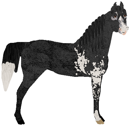 Profile image of Diva OS