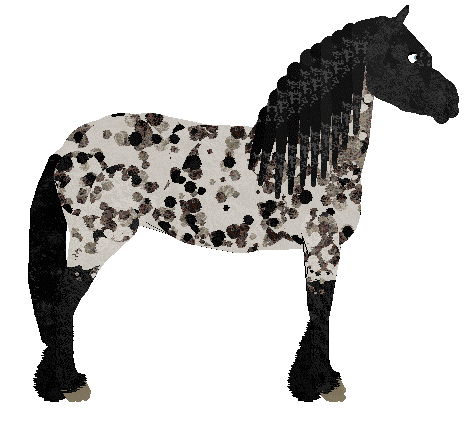 Profile image of Paperbark Glittering Confetti