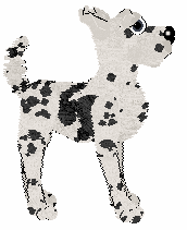 Profile image of Amenity/Tangled's Order of Angels