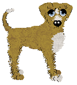 Profile image of Aussome/King's Sunshine Girl