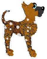 Profile image of Tangle's Spots and Stripes