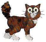 Profile image of Tangle's The Floor is Lava