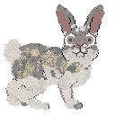 Xoops Moondust Magic at Cirrutopia — “Moondust”