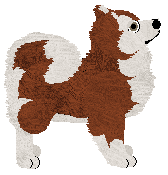 TaigaPaws Echo of Freya at Wolf Hollow — “Freya”