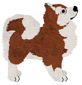 TaigaPaws Echo of Freya at Wolf Hollow — “Freya”