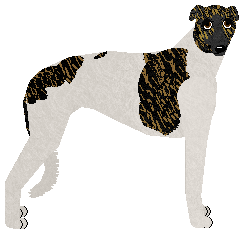 Profile image of Polka Najlepsza Łowcza