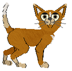 HAL's Painted in Rainbows @ Mockingbird — “Iris”