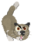 NSP Doggish By Chance @ Mockingbird — “Bernard”