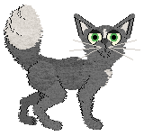 HAL's Veil of Eternal Night @ Mockingbird — “Nyx”