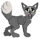 HAL's Blade in the Starlight @ Mockingbird — “Perseus”