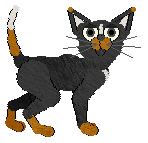 HAL's Secrets in the Foam @ Mockingbird — “Selkie”