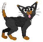 HAL's Secrets in the Foam @ Mockingbird — “Selkie”