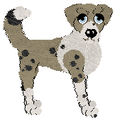 Profile image of Tea/King's Once Upon a Time