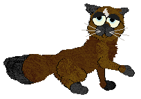 Profile image of Vanilla's Parson Brown