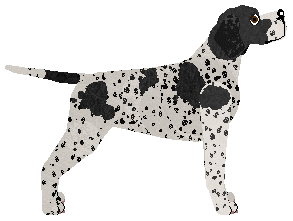 Wish's Ink Blot Test — “Inky”