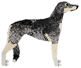 Sandswept Standing Ovation — “Lilly”