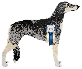 Profile image of Sandswept Standing Ovation
