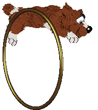 Sungraze Ebonspire @ Mockingbird — “Ebonspire”