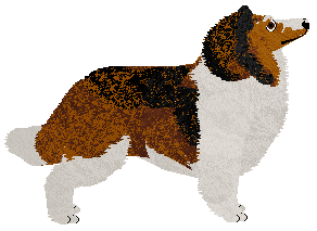 Nimbus Truth or Dare — “Dare”